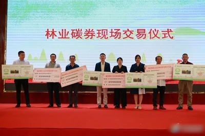 通道林農再獲一項權利！懷化市林地生態(tài)系統(tǒng)碳匯權證暨林業(yè)碳券在通道首發(fā)