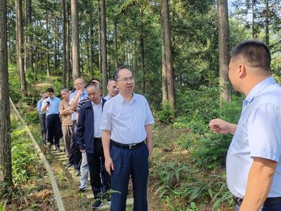 科技賦能，生態富民 福建省林業局領導赴福州、寧德調研林下經濟與電子產品銷售新模式