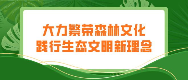 生態廊道繪就綠色畫卷 衢州林業“十四五”規劃發布下的詩畫風光帶新生